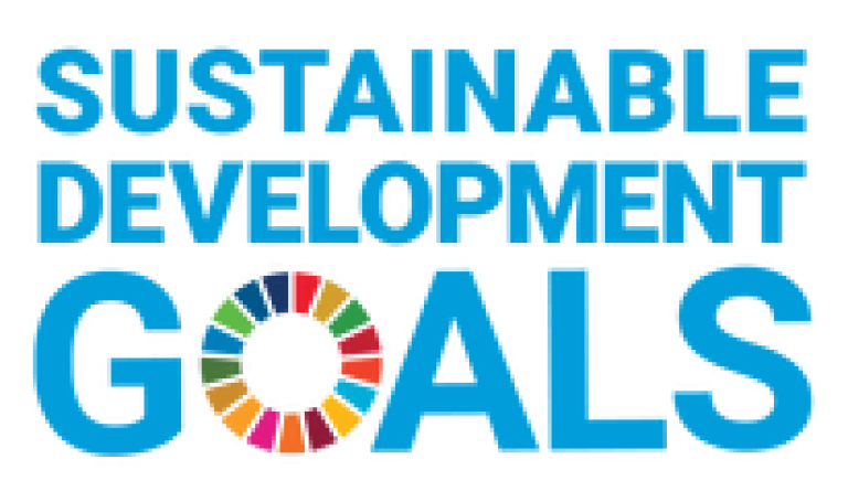 Sustainable Development Goals logo