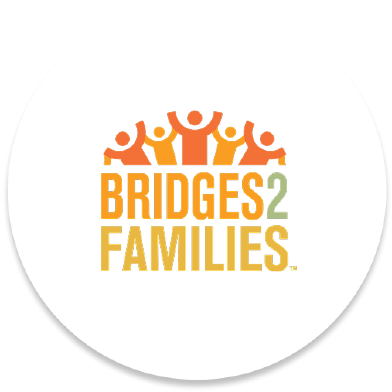 BRIDGES2FAMILIES logo